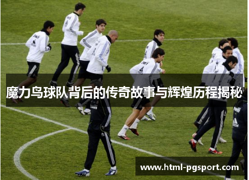 魔力鸟球队背后的传奇故事与辉煌历程揭秘